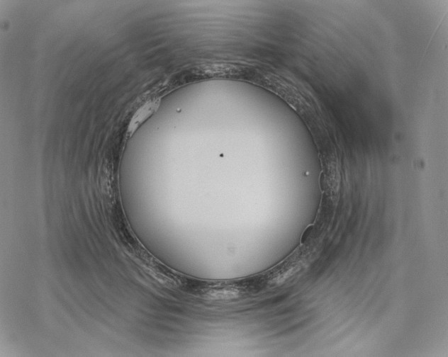 X0000078270653200611251354