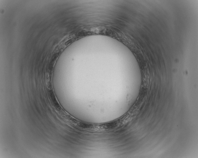 X0000078270656200611251354