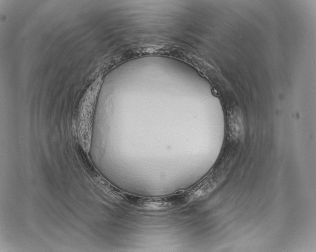 X0000078270657200611251354