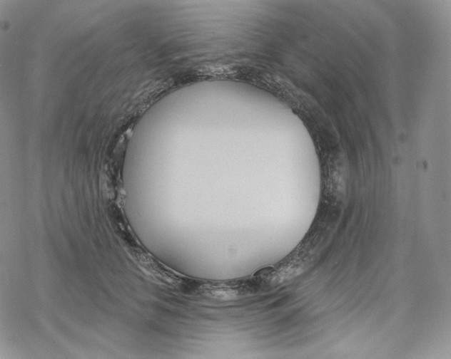 X0000078270658200611251354