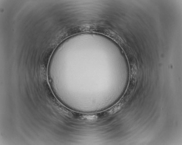 X0000078270659200611251354