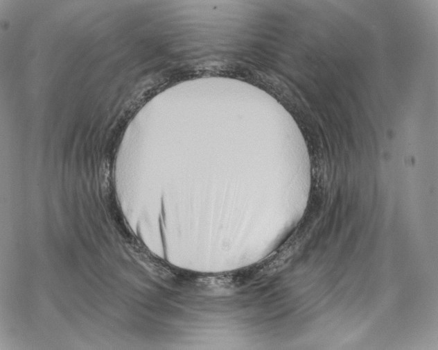 X0000078270660200611251354