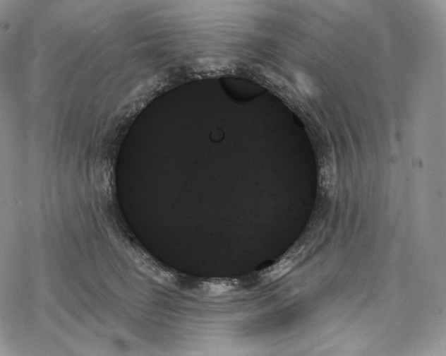 X0000078270662200611251354