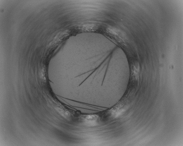 X0000078270663200611251355