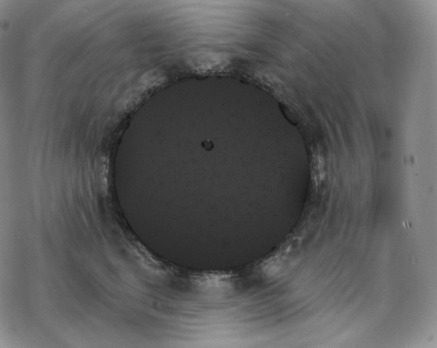 X0000078270664200611251355