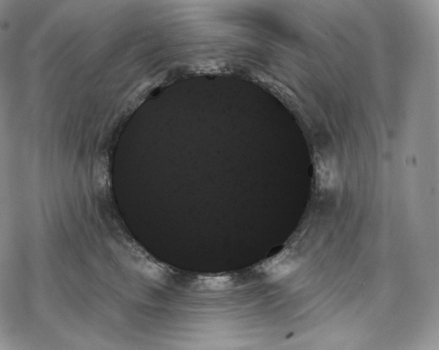 X0000078270665200611251355