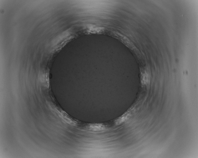 X0000078270666200611251355