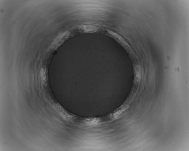 X0000078270667200611251355