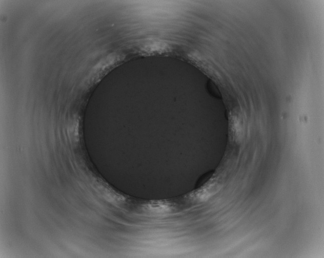 X0000078270668200611251355