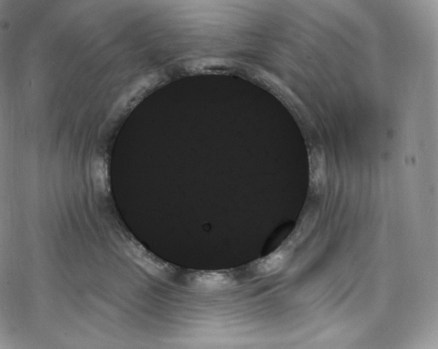 X0000078270669200611251355