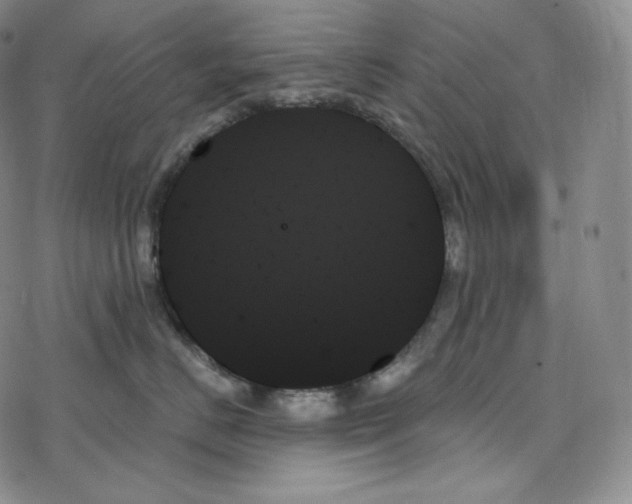 X0000078270670200611251355