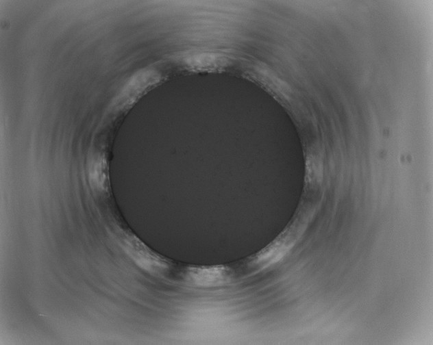 X0000078270671200611251355