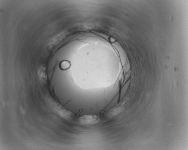 X0000078270672200611251355