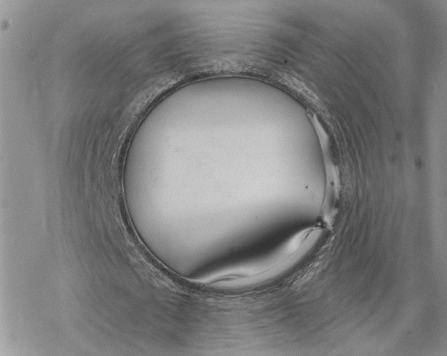 X0000078270673200611251354