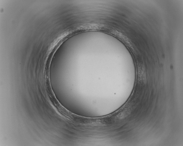 X0000078270674200611251354