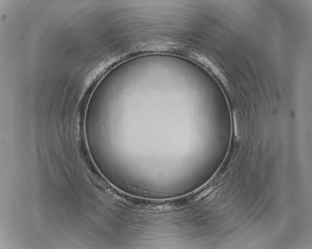 X0000078270675200611251354