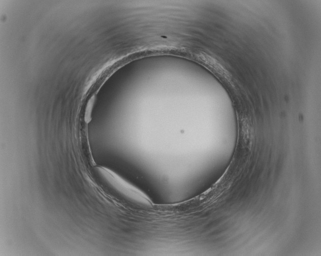 X0000078270676200611251354