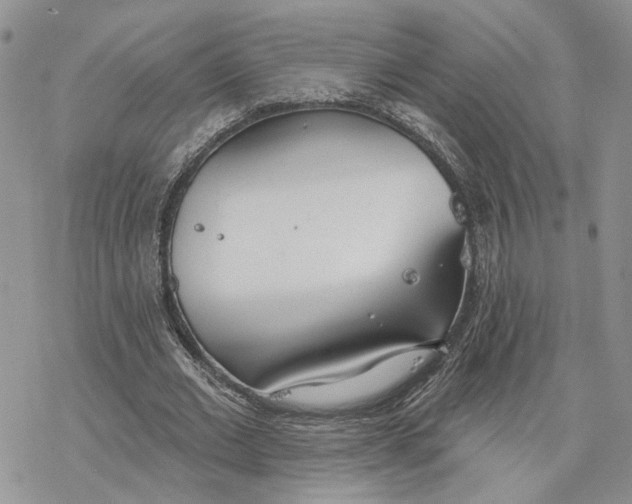 X0000078270677200611251354