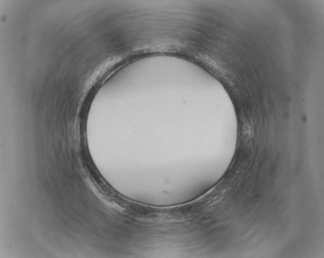 X0000078270678200611251354