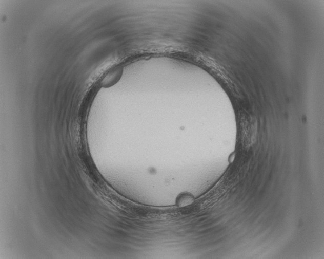 X0000078270679200611251354