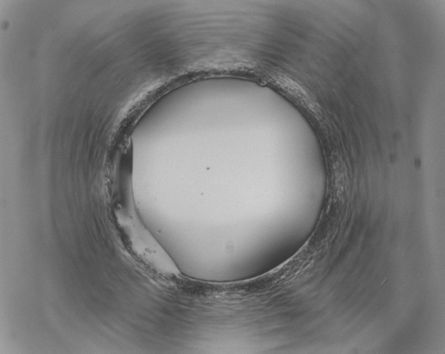 X0000078270680200611251354