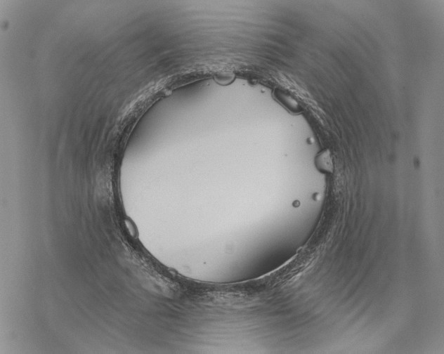 X0000078270681200611251354