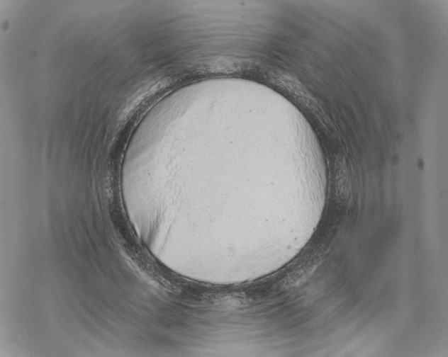 X0000078270683200611251354