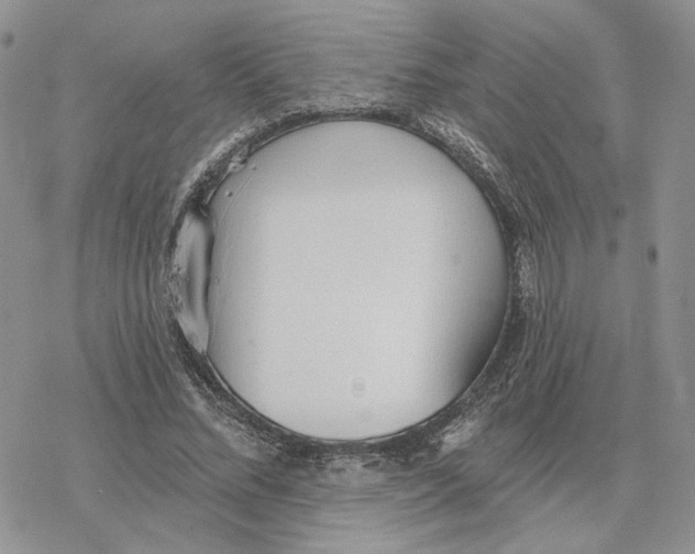 X0000078270684200611251354