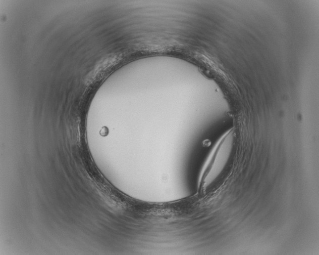 X0000078270685200611251354