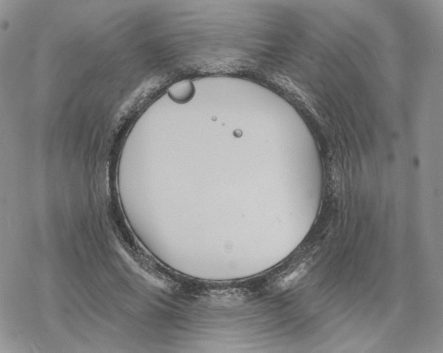 X0000078270686200611251354