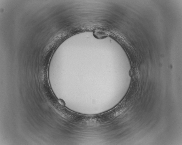 X0000078270687200611251354