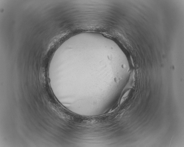 X0000078270688200611251354