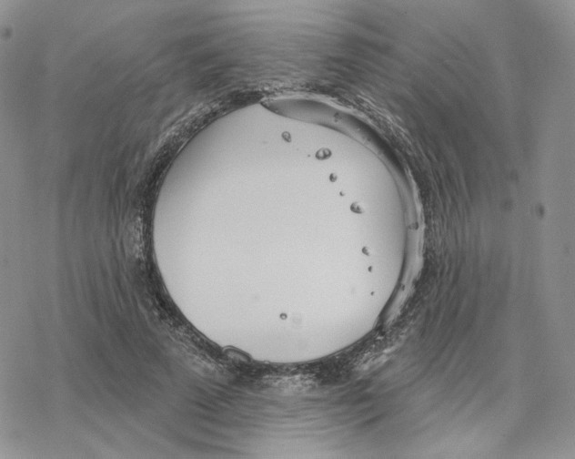 X0000078270689200611251354