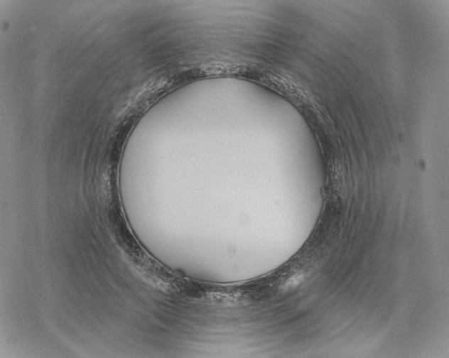 X0000078270690200611251354