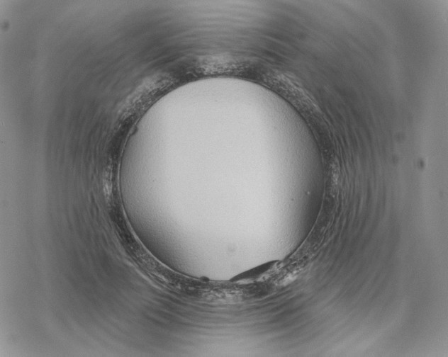 X0000078270691200611251354