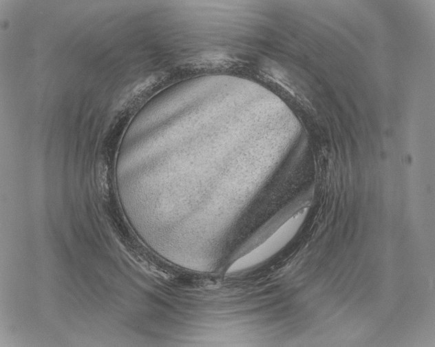 X0000078270692200611251354