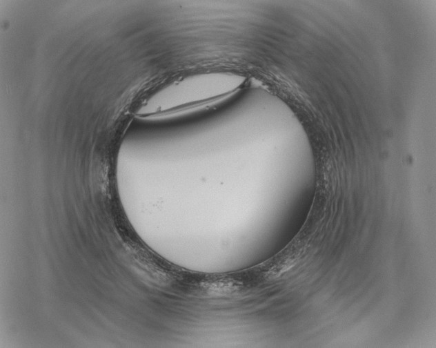 X0000078270693200611251354