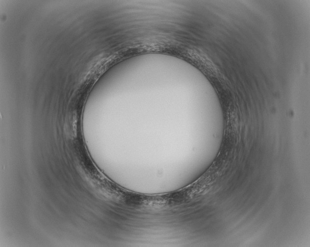 X0000078270694200611251354