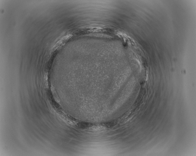 X0000078270696200611251354