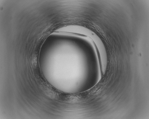 X0000078270697200611251354