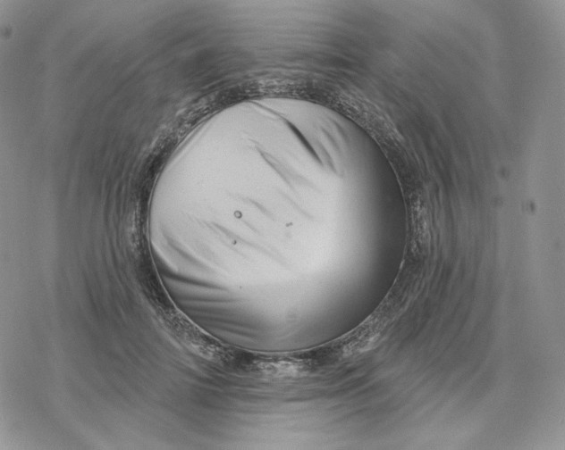 X0000078270698200611251353