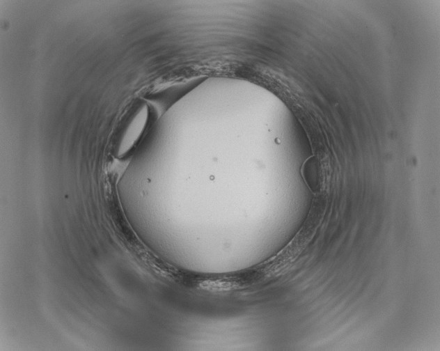 X0000078270699200611251353