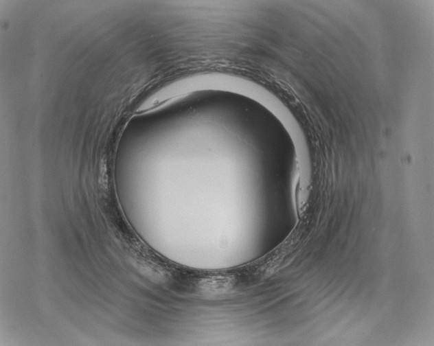 X0000078270700200611251353