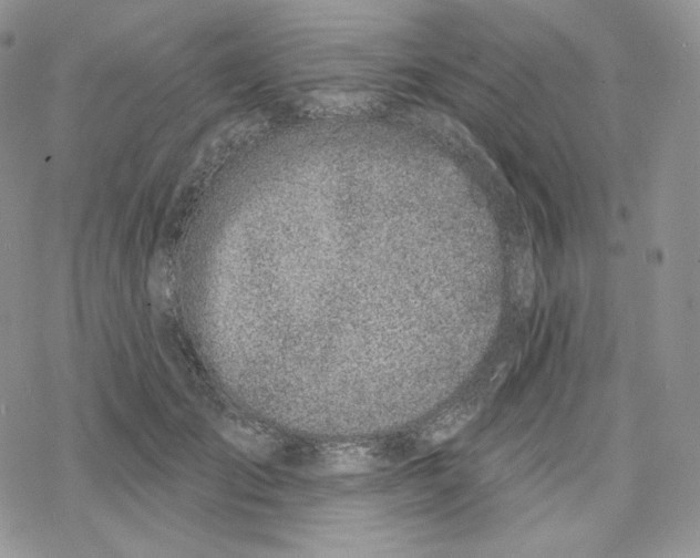 X0000078270701200611251353