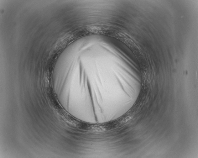 X0000078270702200611251353