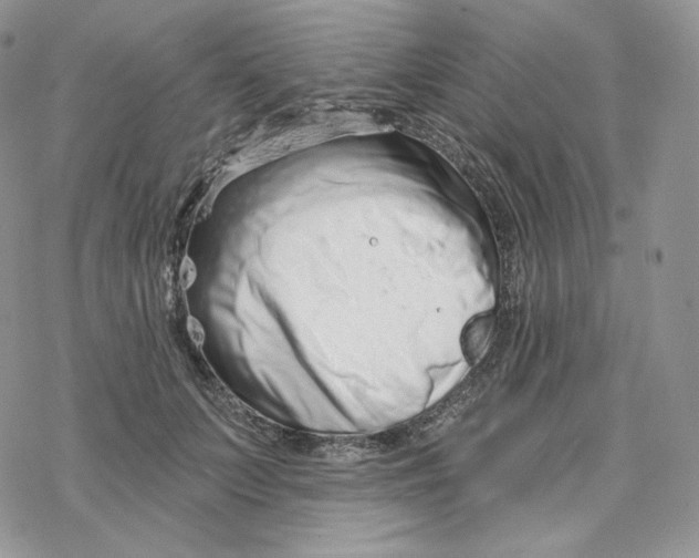 X0000078270703200611251353