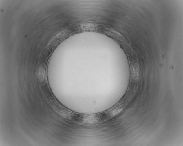 X0000078270705200611251353