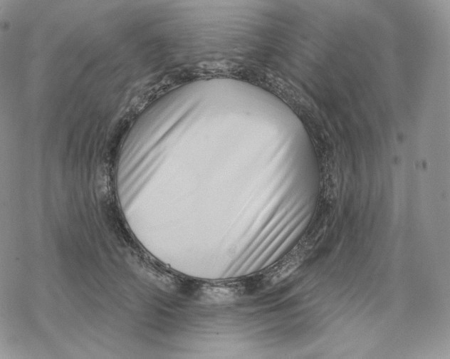 X0000078270706200611251353