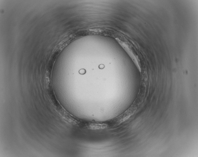 X0000078270707200611251353