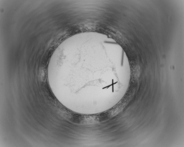 X0000078270709200611251353